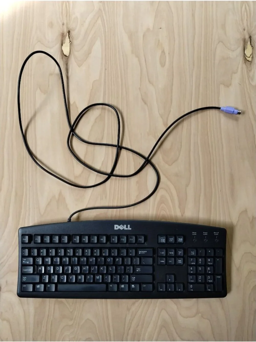 Retro Dell Keyboard Wired RT7D20 - PS/2 Keyboard Vintage